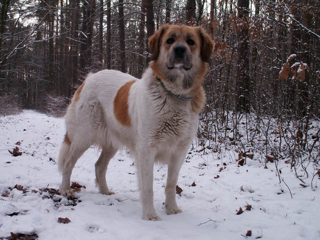 PICT0794.JPG