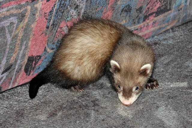 DSC_7684.JPG