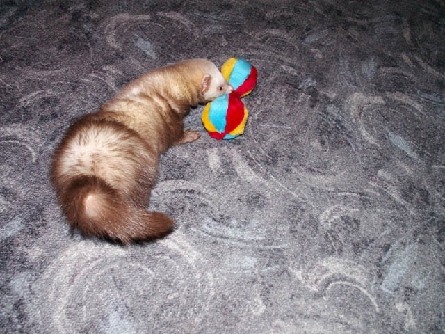 PICT5661.JPG