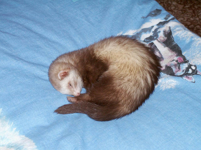 PICT6001.JPG