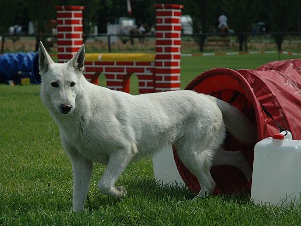 img00141.jpg